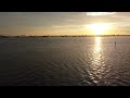 Big shark Dunedin causeway at sunrise 1,000 feet Offshore￼ 9/8/22￼