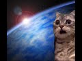 Earth Cat