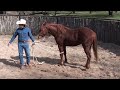 Ride Smart with Craig Cameron: Colt Start with Ty Murray Pt 1