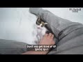 What Will Happen If the Kitten Loves Her Owner So Much?