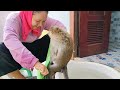 Mom Preparing Baby Shally Taking A Bath And Cleaning Head