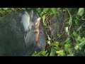 GAK Sia sia Mancing Di Spot ini Penuh Ikan Besar Strike Bikin Jantung Berdebar