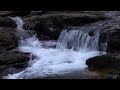 Forest Waterfall Nature Sounds 1hr Sleep - Relaxing Birds Chirping - Water Flowing Sound Meditation