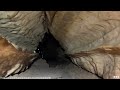 30ft Hole Leads To Freaky Formations