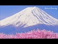 [BGM for work] 癒しの空間でリラックスしたい方に 🌼 Feel Good