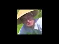 Rice Fields.mp4