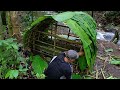 Make a shelter from banana leaves solo survival