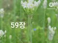 시편낭송 51~60장