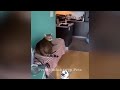 😅 Best Cats and Dogs Videos 🤣🐈 Best Funny Catss 2024 🤣🐱