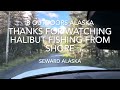 Seward Alaska Shore Fishing from Beach for Halibut , Cod and Shark