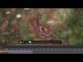 Adobe Animate CC 2017: Camera Tool (TUTORIAL)