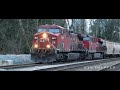 (4K) Train Spotting Canada | CN Rail, CP Rail, BNSF, Amtrak