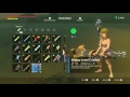 Killing a Silver Crusher Lynel... naked - Zelda: Breath of the Wild