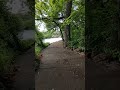 Walking along Medicine Creek, in Medicine Park, Oklahoma.