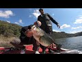 Big Bass Dreams Europe - 1° video Flumendosa FINITO