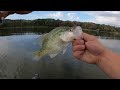 YOU Won’t Believe Where I Found MONSTER NOVEMBER CRAPPIE‼️