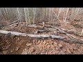 Centennial Trail - Located near the BWCA in Northeast Minnesota along the Gunflint Trail