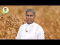 Incredible Benefits of Cumin Water | Weight Loss | Control Sugar | Dr. Manthena's Health Tips