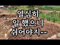 노가다 day/약 치고/꽃밭 가장자리 만들고/텃밭 정리하고~~~