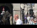 TROOPER TELLS IDIOT TO MOVE AFTER HORSE QUITS AND POLICE ENFORCE SIGNS at Horse Guards!