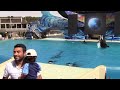 One Ocean (Full Show) - SeaWorld San Diego - September 20, 2014