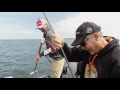 Door County Summer Walleyes (Season 13 Ep 05)