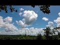 Hutan kalimantan timur | langit cerah | Di tegah hutan kalimantan timur