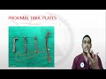 Plating in Orthopaedics| Types of Plating| Fracture plating types| Plates in Orthopaedics - DrVinoth