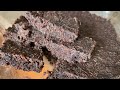 Pemmican - The ULTIMATE High Protein/Fat Backcountry Food