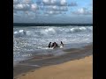 North Shore Oahu Rescue by professional surfer Mikey Wright in Hawaii