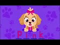 Did you See My Web? Itsy Bitsy Spider Lost Her Web | Puppy Chase Compilation by Little Angel