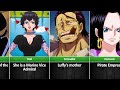 Who Is The Strongest Woman In One Piece?