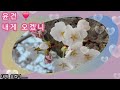 🍀윤건💕 내게 오겠니(가사첨부)