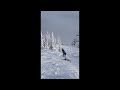 R E Snowboard Video