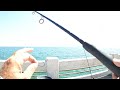 How to Limit on Snapper at the SKYWAY  Fishing Pier! + Spanish, Pompano & Tarpon