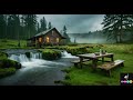 Living in Harmony: Nature Life in a Log Cabin | Soundscape_89