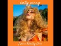Never Really Over