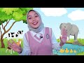 Belajar dan Bermain Episode Hewan Ternak Untuk Balita -  Belajar Bicara, Lagu Interaktif Balita