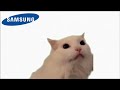 Cat Meow Samsung Phone Ringtone 1 Hour Straight