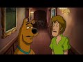 Scooby-Doo! em Português 🇧🇷  | Gatos 🐱 vs Cães 🐶 |  WB Kids