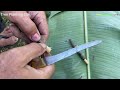 best method plant guava growing fast, How to graft guava get alot of guava fruit