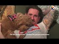 Goldendoodle Rescued From Puppy Mill Completely Transforms | The Dodo