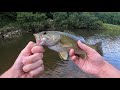 Bass Fishing a Creek with LIVE BAIT (Creek Chubs)