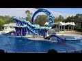 The Dolphin Show at SeaWorld, Orlando, Florida