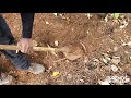 FASTEST WAY TO DIG A TRENCH | How to Dig a Trench With a Demo Hammer