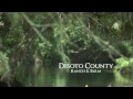 Desoto County Ranch & Farm - 11,200 +/- Acres SOLD