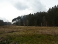 Harz Steamtrain im wald. 2014