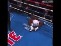 Deontay Wilder knockout of Luis Ortiz MIC'D UP!