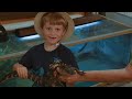 T-Rex Ranch | Giant Alligators at Wildlife Park! | Kids Family Fun Playground & Surprise Toys Hunt