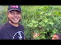 Perma Pastures Farms Joins Me w/ Permaculture Q&A #20